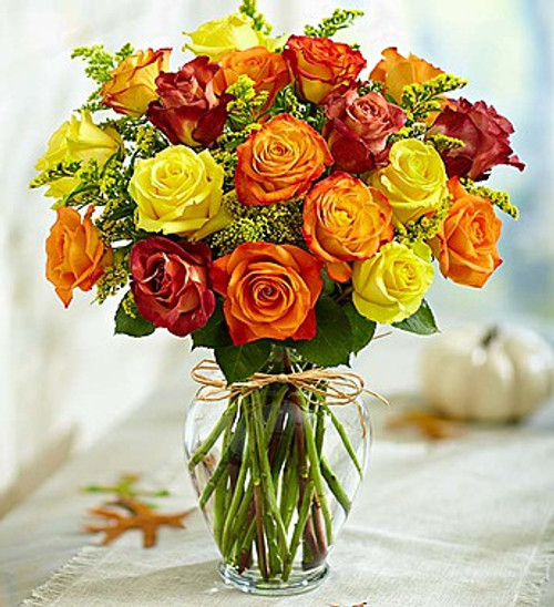 Long Stem Assorted Autumn Roses