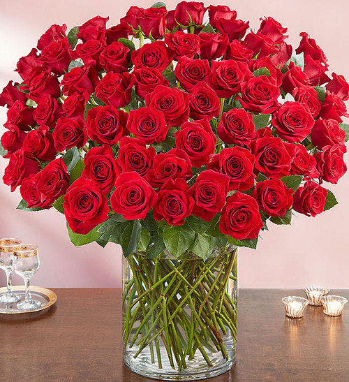 100 Premium Red Roses in a Vase