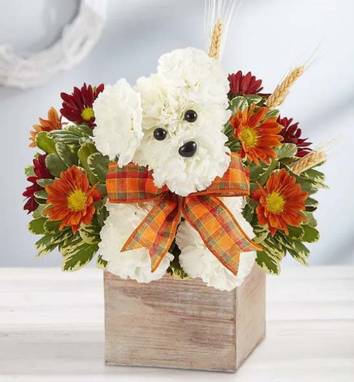 a-DOG-able® for Fall