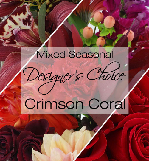 Mixed Seasonal Designer's Choice - Crimson Coral