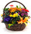 Autumn Splendor Planted Basket