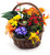 Harvest Charm Planted Basket
