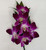 Create a Custom Dendrobium Orchid Wrist Corsage (Select Color)