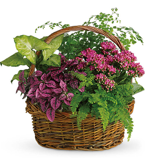 Secret Garden Basket
