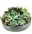 Succulent Planter - Large