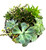 Succulent Planter - Large