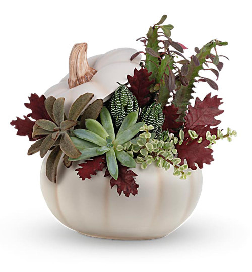 Spooky Succulent Garden