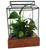 The Ward Terrarium