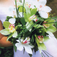 wedding-0001.jpg wedding-0001.jpg