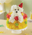 Birthday Wishes Flower Cake™ Pupcake™