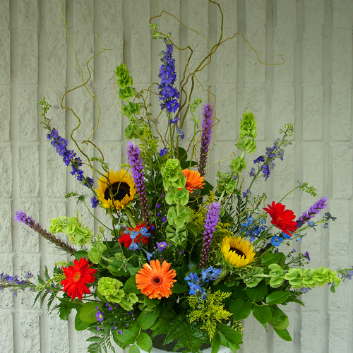 Enchanted Meadow (SA2022)