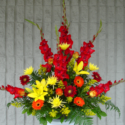 Peaceful Surrender (SA2038)