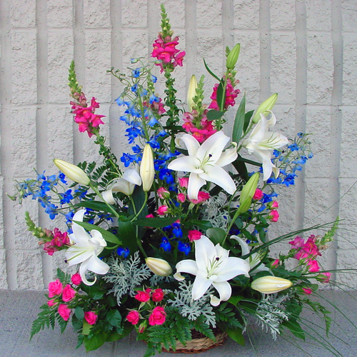 Garden Glow (SA2053)