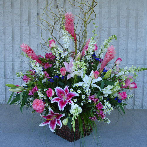 Pink Sensation (SA3075)